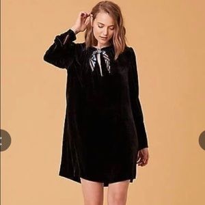 Diane Von Furstenburg Velvet Mini dress